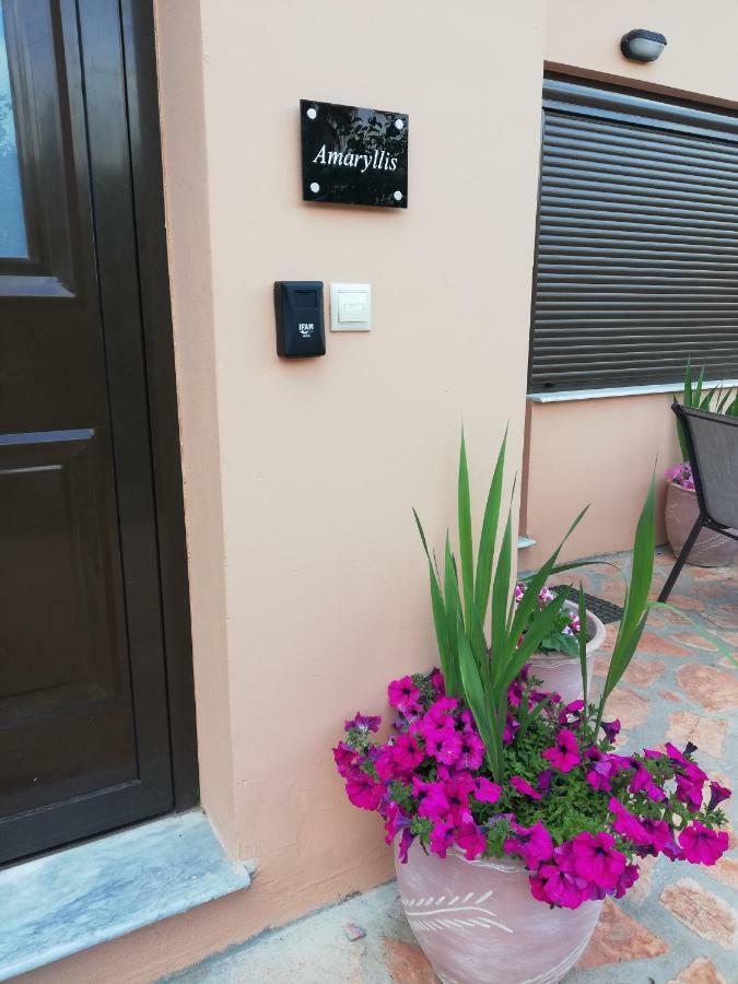 Dimitra - Loft Apartments Corfu  Exteriör bild